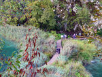 P1266916