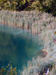 P1266924