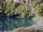 P1266930