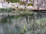 P1266939