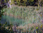 P1266943