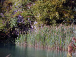 P1266955