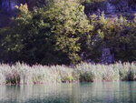 P1266967