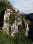 P1266975