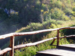 P1266995