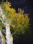 P1277004