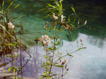 P1277007