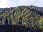 P1277121