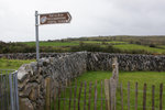 DSC00005