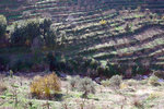 DSCF8224
