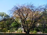 P1233878