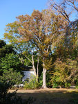 P1233879