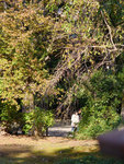 P1233881