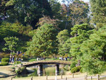 P1233884