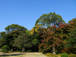 P1233885