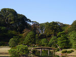 P1233887