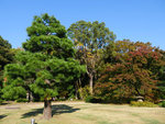 P1233889