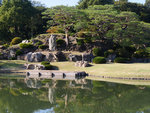 P1233894