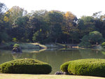 P1233895