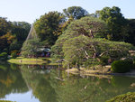 P1233898