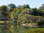P1233901