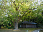 P1233905