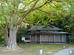 P1233906
