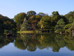 P1233907