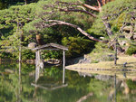 P1233912