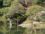 P1233913