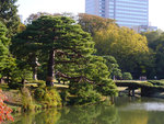 P1233993