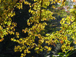 P1244020