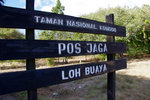 IMGP4242