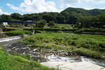 DSC08021