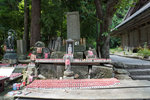 DSC08041