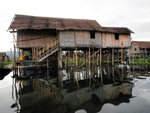 ILE13031
