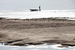 IMG_3784