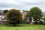 DSC00062
