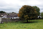 DSC00065
