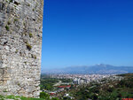 P1288061