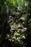 DSC00123