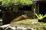 DSC00143
