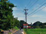 P1377126