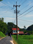 P1377127