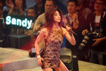 DSC08090