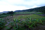 DSCF6819