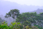 DSCF2961
