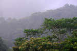 DSCF2974