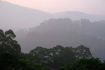 DSCF2977