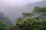 DSCF2980